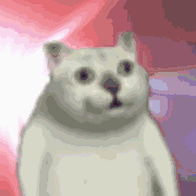 奇怪的姿势增加了这只突然占据全网表情包的沙雕猫竟然是