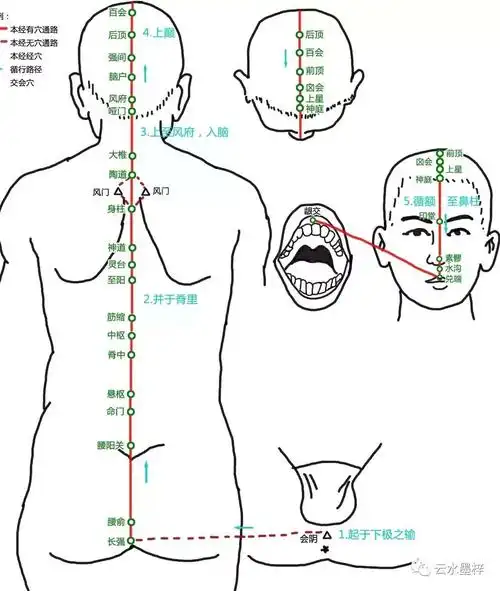 【安身之道•中医针灸】督脉循行 - 美篇