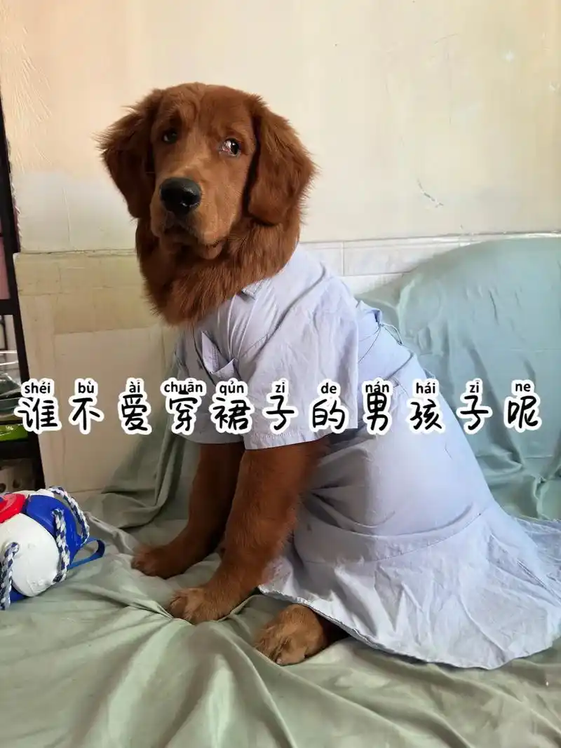 快看八个月大的小男生居然穿裙子