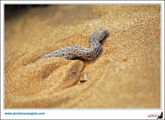 惊艳纳米比亚——20天纳米比亚游记攻略