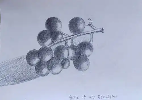 枣庄少儿美术教育高级班素描练习-葡萄