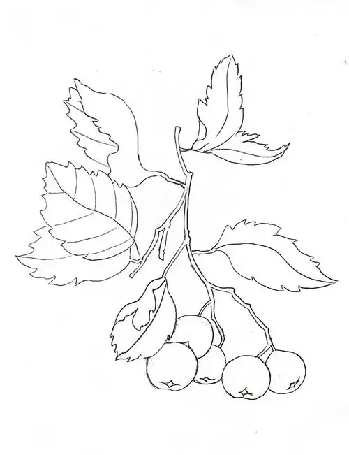 美食  #马克笔  #手绘  #简笔画