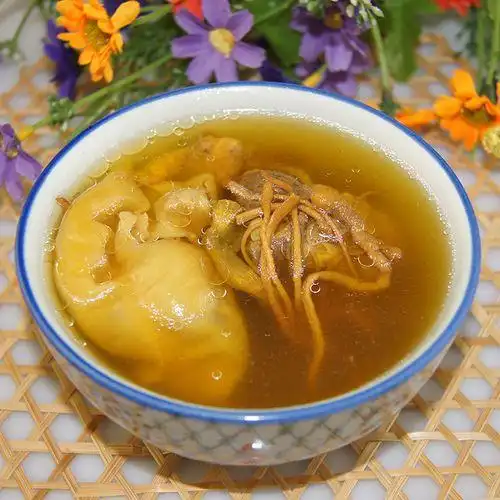 花胶广东汤广东花胶汤的做法大全