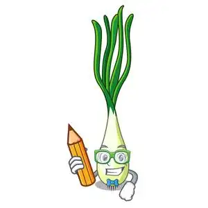 葱卡通图片