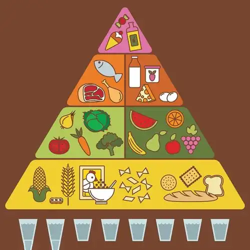 营养膳食金字塔