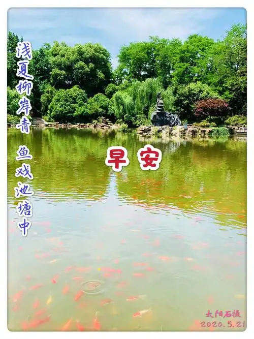 《2020年》早安集锦(二)