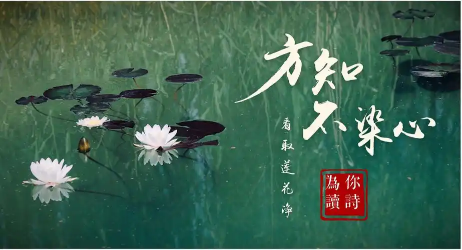 一念一清静心是莲花开