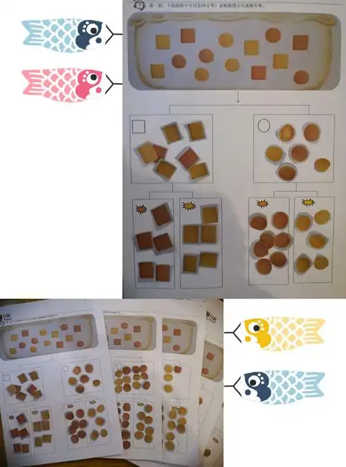 《多角度分类》
