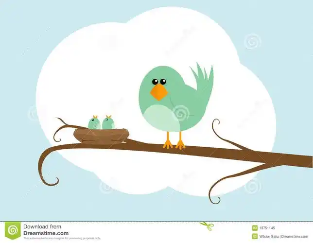 empty bird nest cartoon cartoon bird nest 13751145 jpg