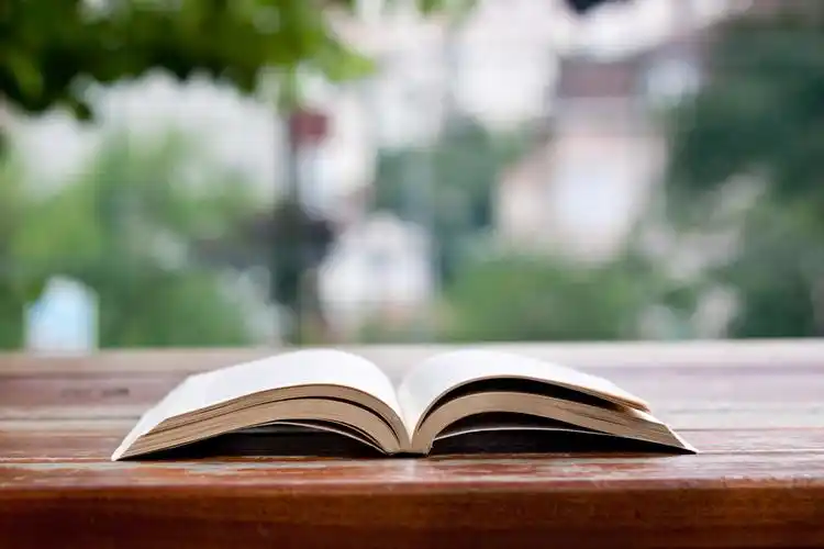 公园里在褐色桌子上一本翻开平翻开的书籍特写