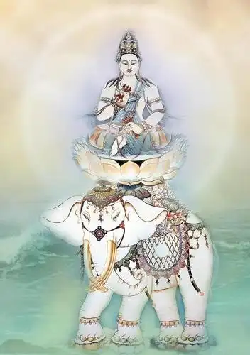 南无大行普贤菩萨-华藏世界三圣者.1,毗.