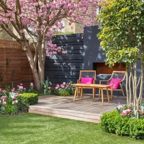 大树底下好乘凉有了院子最好在院子里种一棵庭荫树