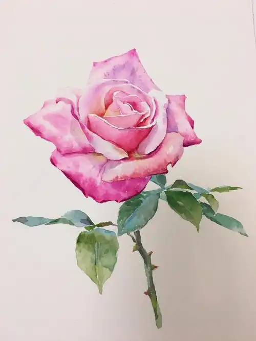 水彩——花卉|纯艺术|绘画|rt奇遇艺术 - 原创作品 - 站酷 (zcool)