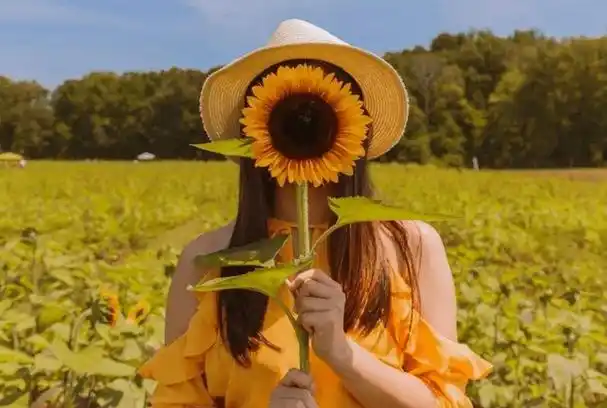 心态好的人,一辈子都好!