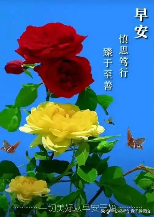 清新漂亮冬日早上好祝福,最美图片带字温馨早上好!吉祥安康!