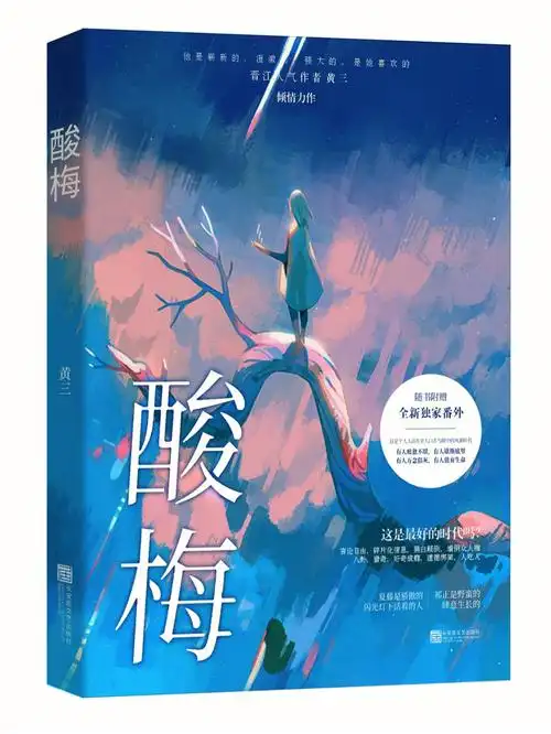 小说封面练习酸梅黄三