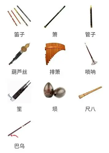 中国与西洋乐器图集