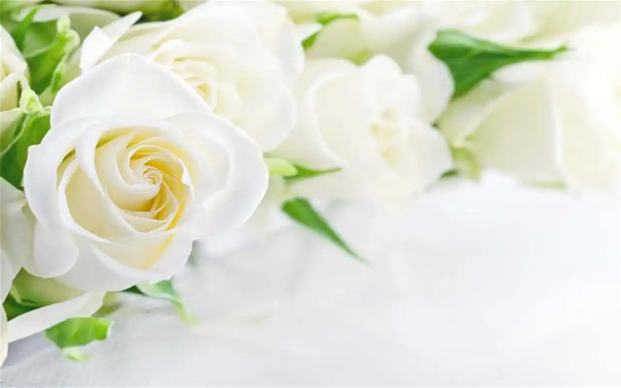 唯美创意玩具小车和鲜花搭配图片桌面壁纸