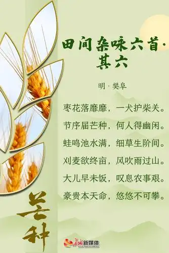 芒种61诗节风吹麦成浪蝉鸣夏始忙