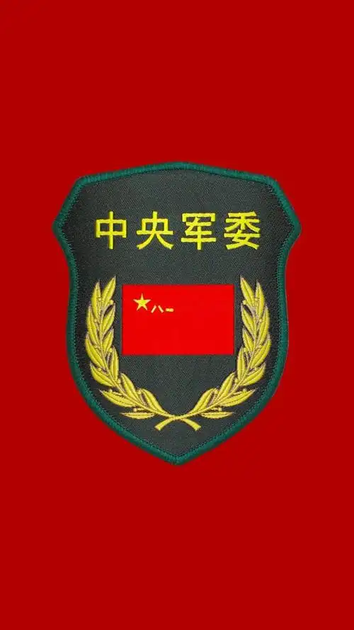 13公开亮相!21式作业服胸标臂章来了!