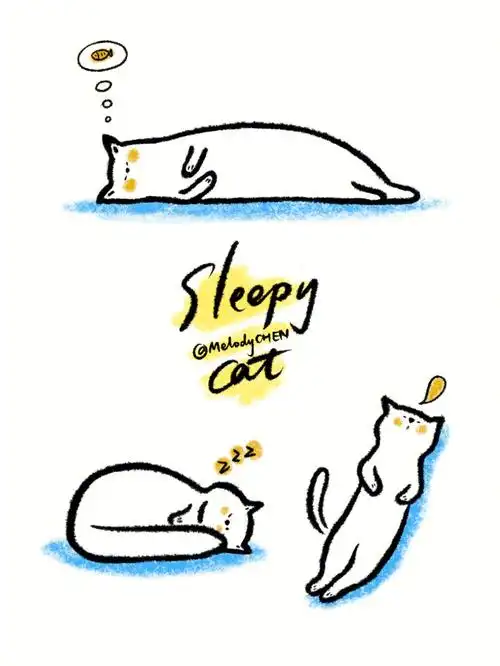 今日小画sleepycat