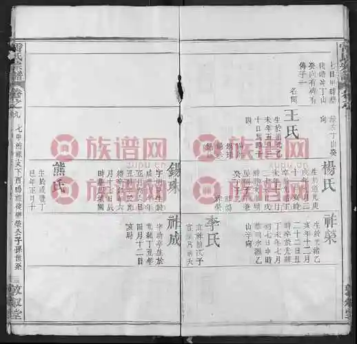 雷氏宗谱, 8, 1400-1919第10本 - 雷氏堂号字辈查阅 - 族谱网