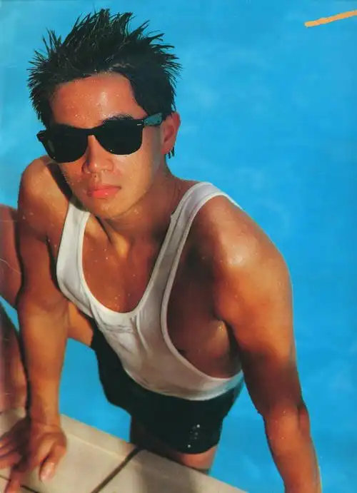 陈百强美图集锦