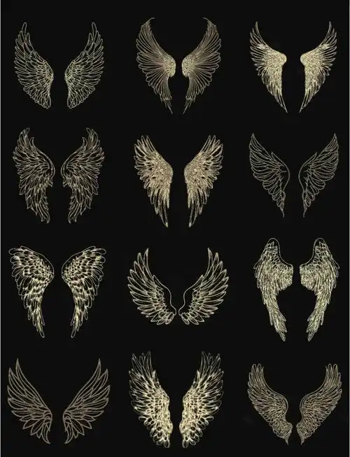 金色翅膀png素材合集,创意设计必备!