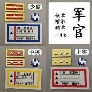 国军胸章领章帽徽 中尉少校上将官金属徽章胸牌 二战军装电影道具