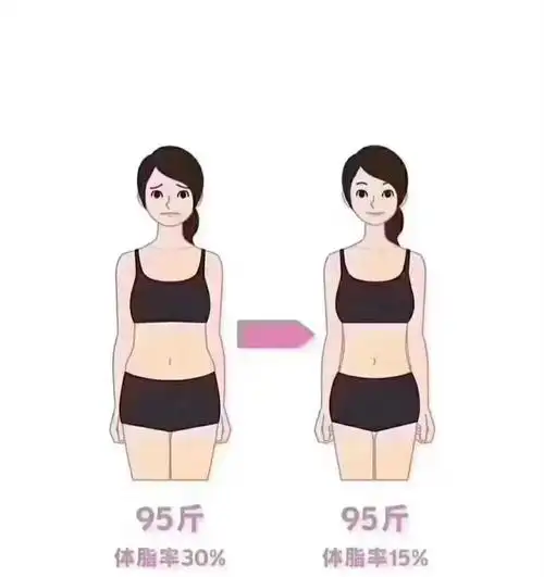 这张图69完美的诠释了什么叫体脂率