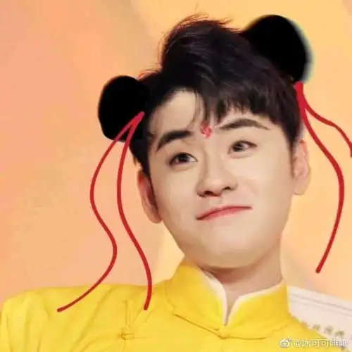 二爷头像辫哥张云雷