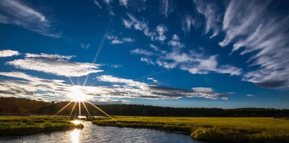 当太阳的金色笼罩了整片草原,它迎来了又一个晨曦,又一个轮回