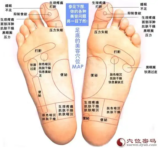 脚底反射区(美容穴位):生理疼痛打鼾,睡眠不足,抑制食欲,面部浮肿