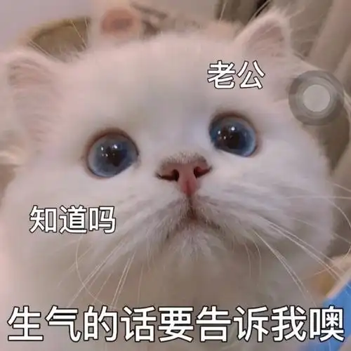 情侣专用363436373039表情包