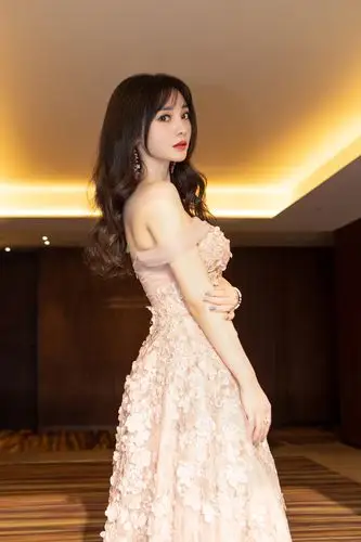 柳岩花瓣美裙性感精致惊艳红毯获颁影视公益之星