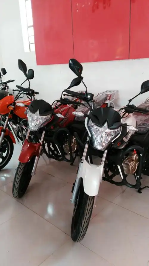 隆鑫霸道,我想我要.隆鑫摩托最b,不信你也买辆试试.