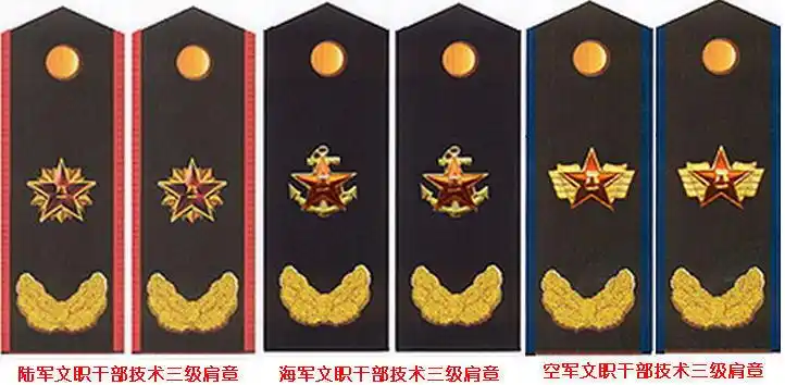 文职干部的专业技术等级的确定和改套