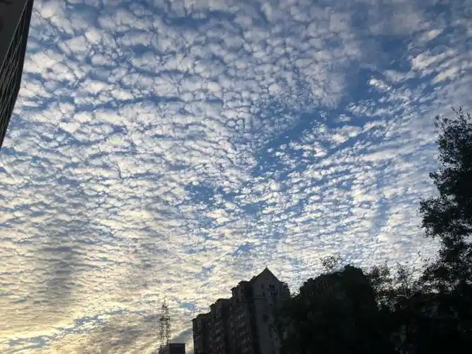 唐山惊现地震云网友吵翻了真相竟是