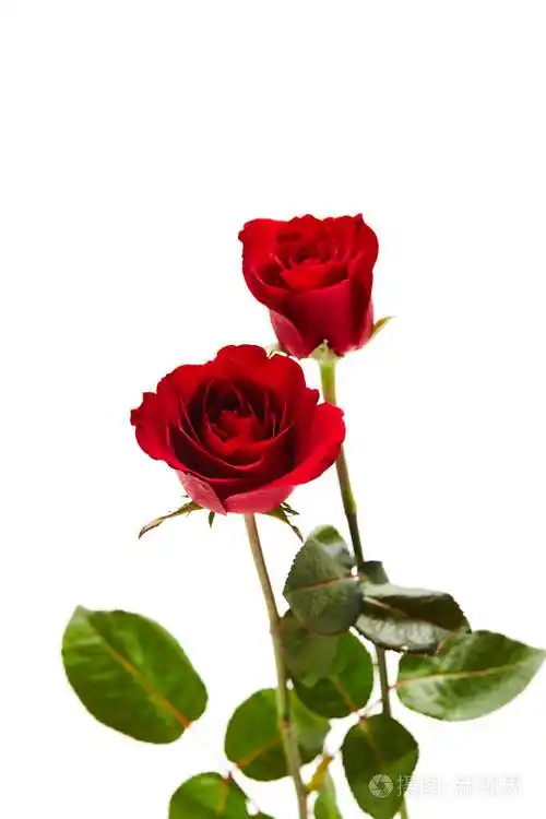 682_1023竖版 竖屏