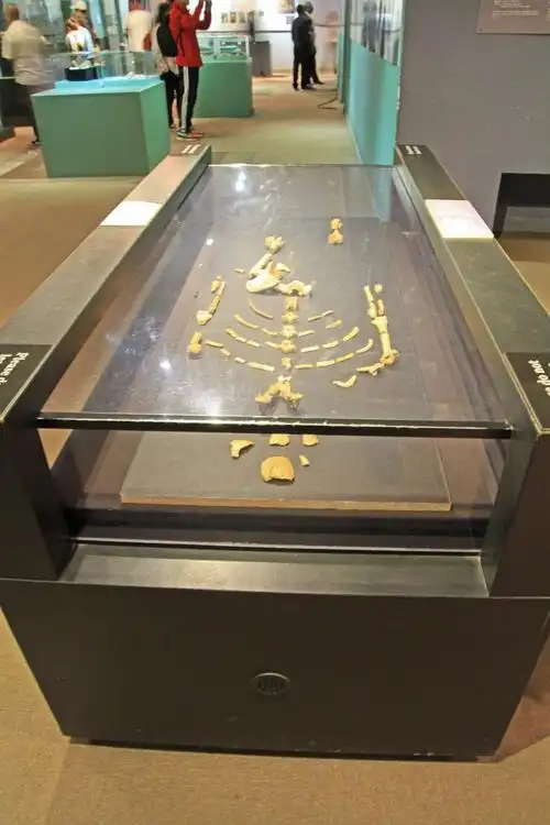 而亚的斯亚贝巴的一天行程则完全颠覆这一模式,我们是在城市中游走