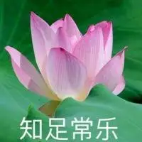 美丽唯美的荷花带文字头像(心如止水)_微信头像图片大全