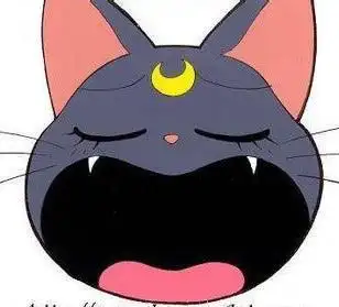 露娜猫简笔画教程