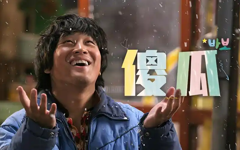 【奇怪电影】车太贤催泪经典:《傻瓜》哥哥为了救妹妹,被黑帮活活打死