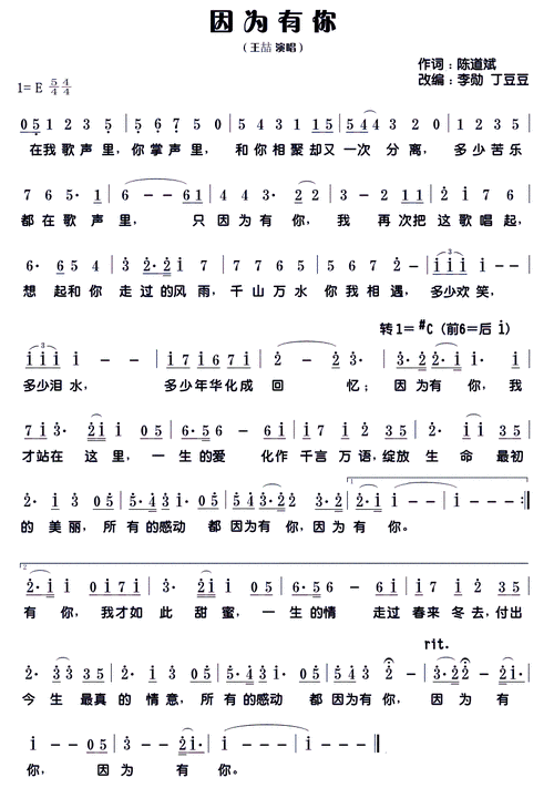 因为有你 李勋 丁豆豆 改编曲 王喆 歌谱 简谱