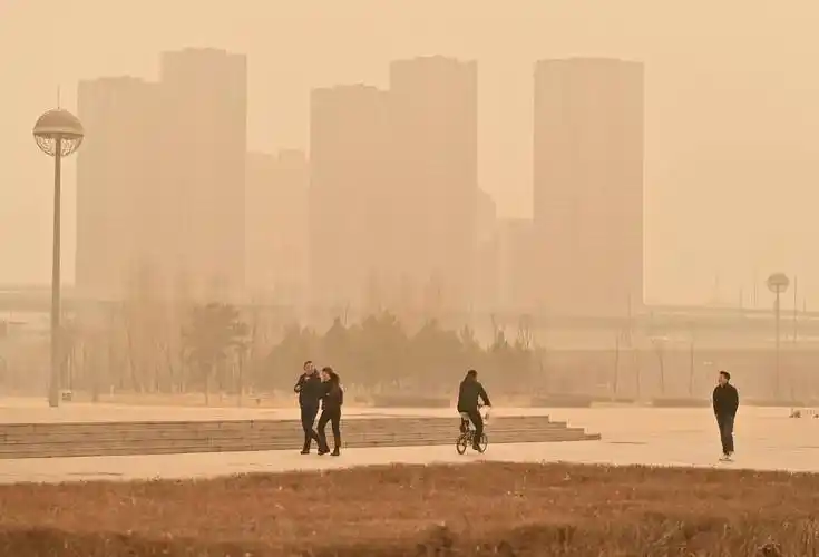 哈尔滨迎大风沙尘天气