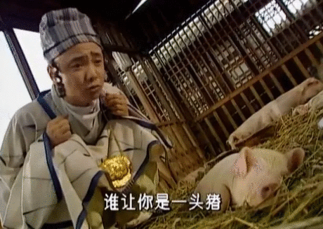 童年最爱的电视剧《春光灿烂猪八戒》,故事很傻,但是有笑有泪