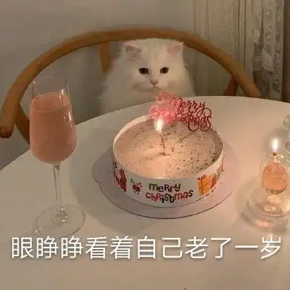 睁睁看着自己老了一岁生日搞怪呆萌gif动图_动态图_表情包下载_soogif