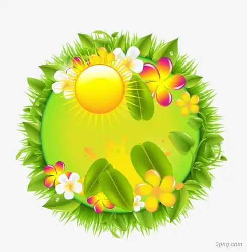 花纹png素材透明免抠图片-装饰效果