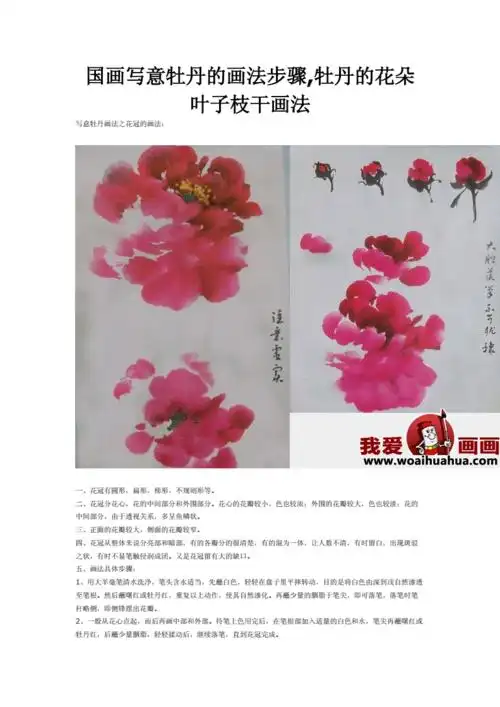 国画写意牡丹的画法步骤doc4页