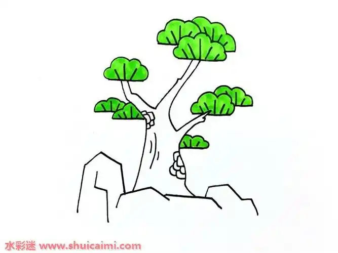 松柏怎么画松柏简笔画图片大全带颜色